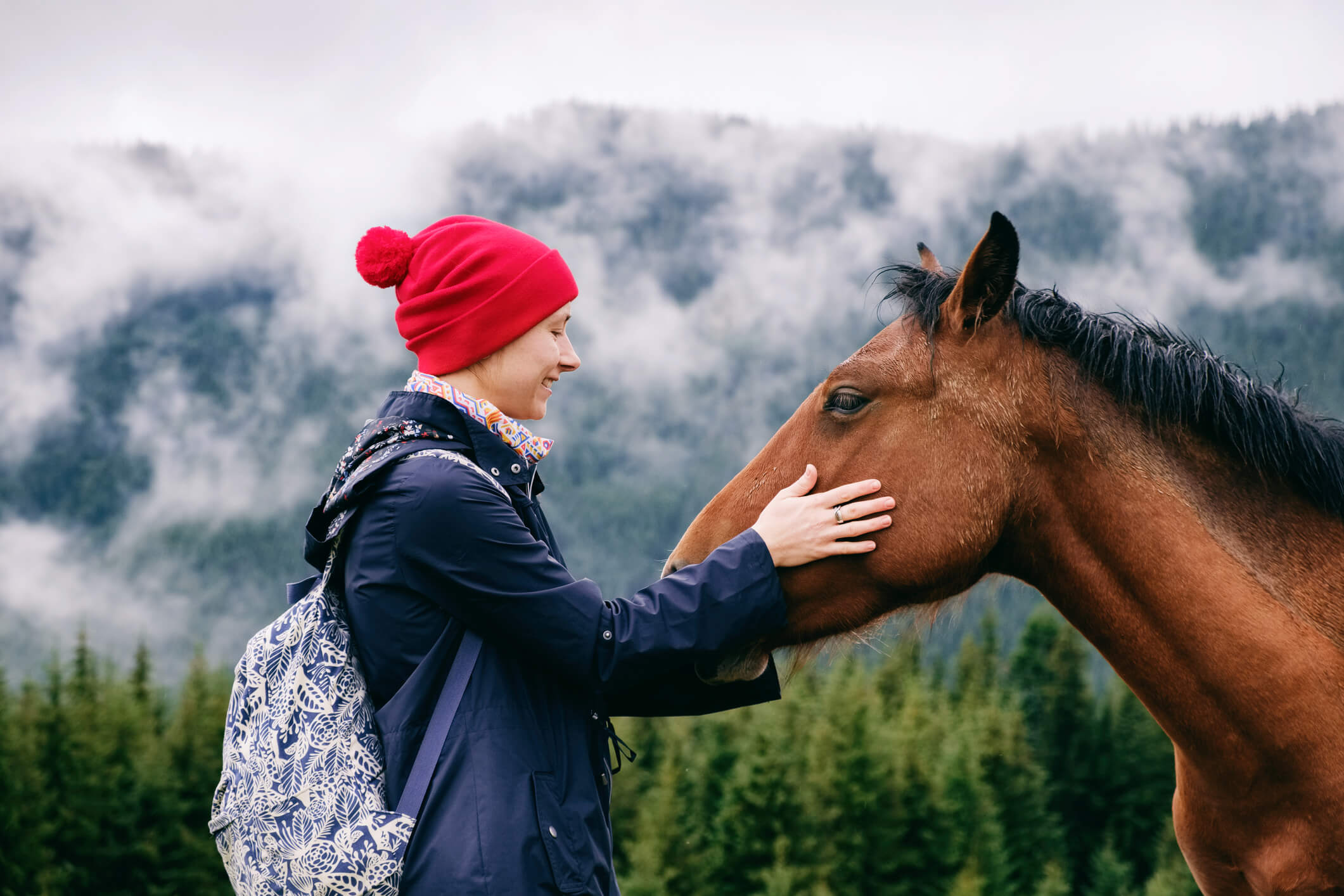 stride-equine-therapy-center-utah-mountains