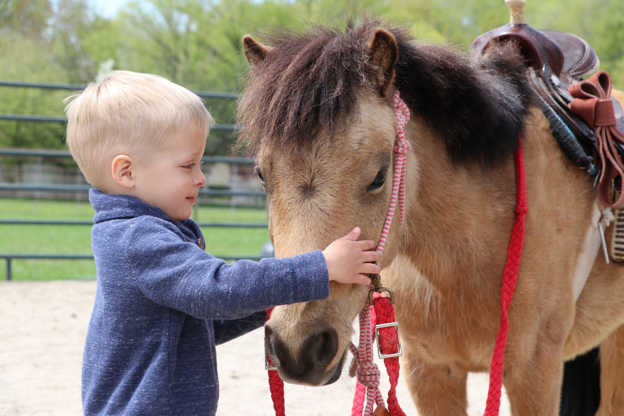 Pediatric Physical Therapy