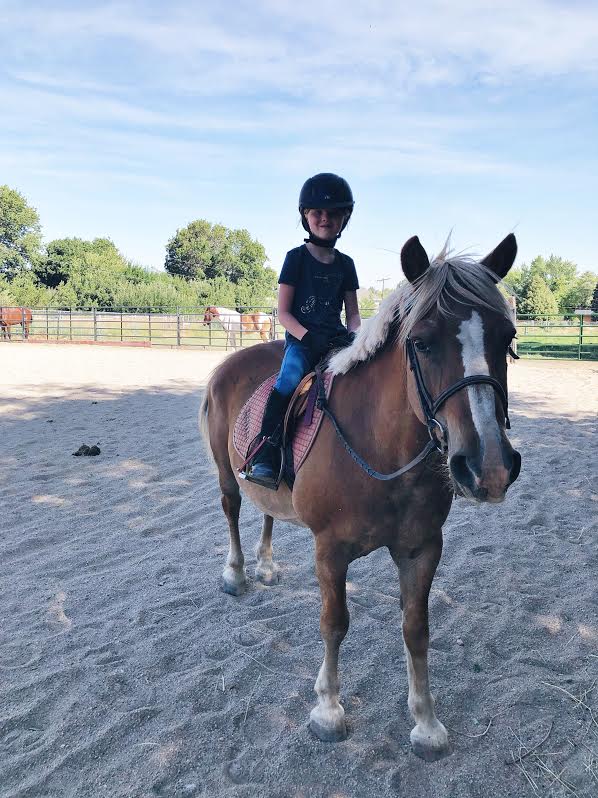 Equine Therapy in Utah
