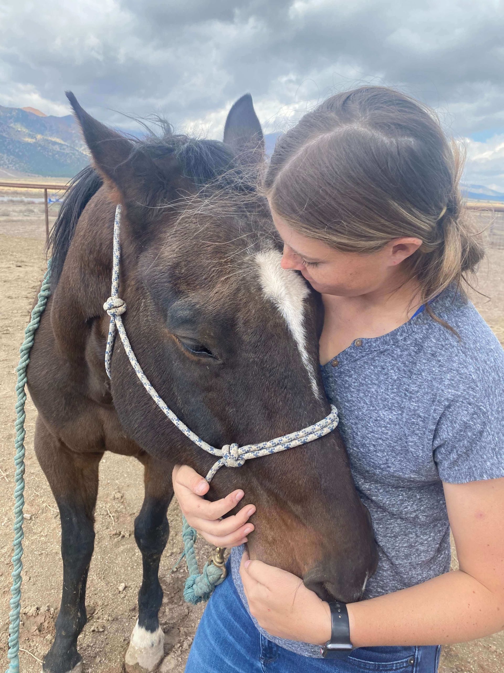Equine Therapy in Utah