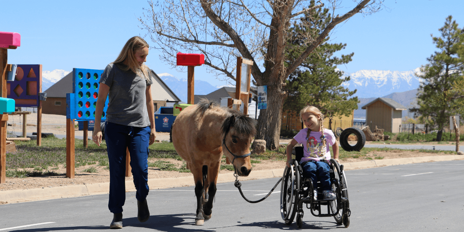 Horse and Child With Wheelchair at Therapy Center 1
