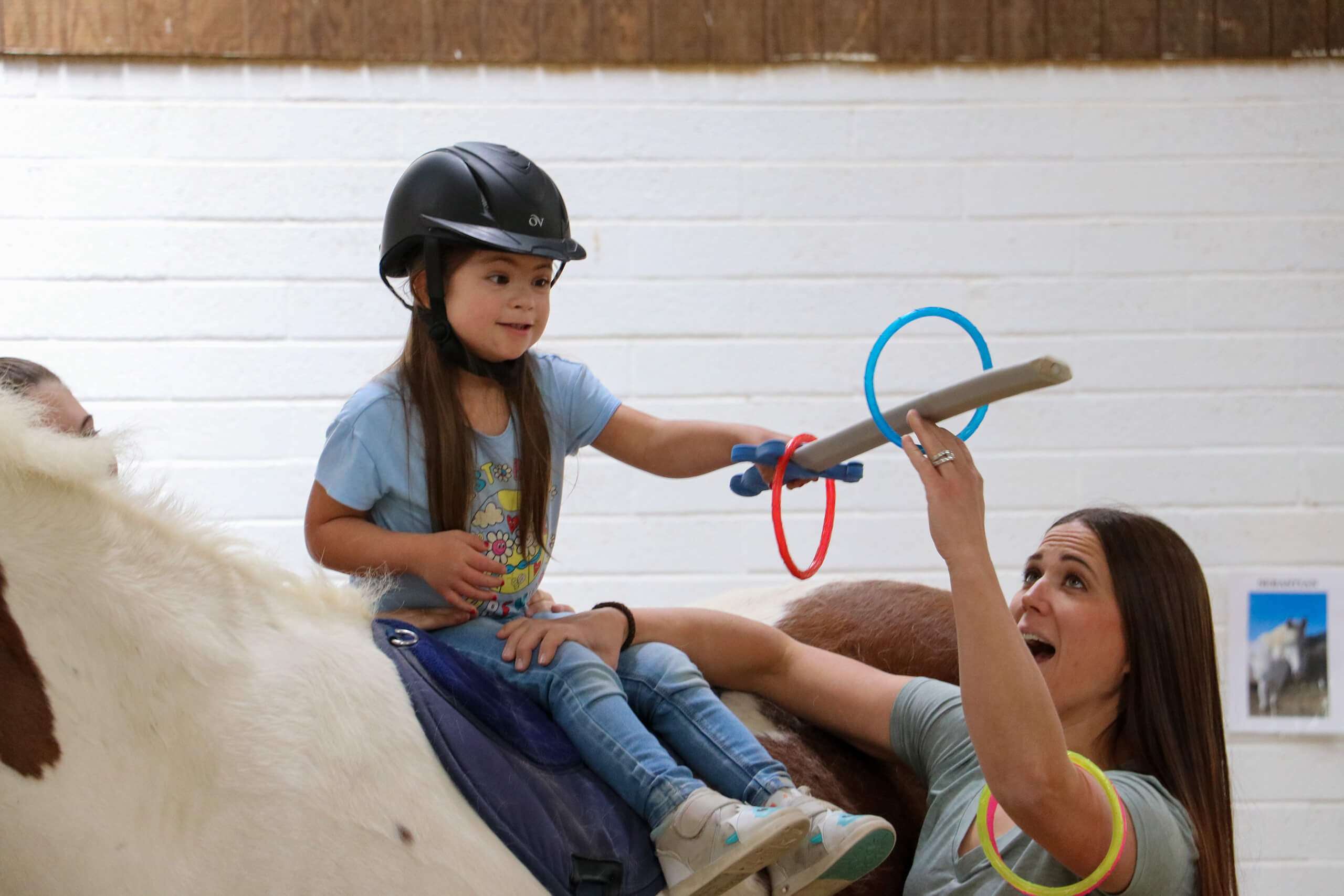 Occupational therapy with horses